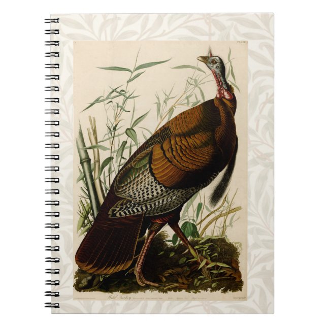 Caderno Espiral Pintura de pássaros Selvagens de Audubon na Turqui (Frente)