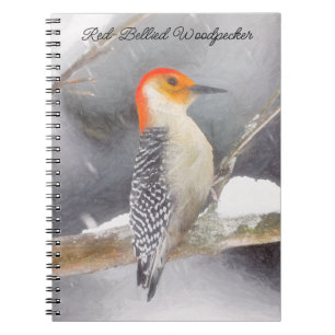 Caderno Espiral Pintura De Pica-Pau De Belém Vermelho - Arte De Pá