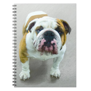 Caderno Espiral Pintura em Bulldog - Arte Cão Original Bonita