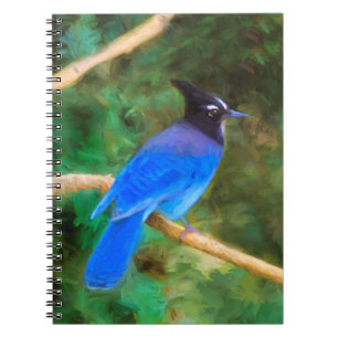 Caderno Espiral Pintura em Jay de Steller - Arte original sobre pá
