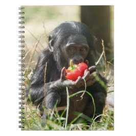 Caderno Espiral Piquenique de Bonobo