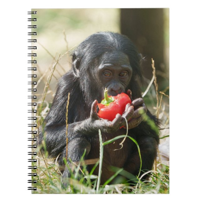 Caderno Espiral Piquenique de Bonobo (Frente)