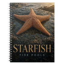 Piscinas de marés de estrelas-do-mar vida selvagem