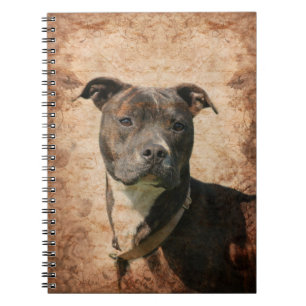 Caderno Espiral Pitbull Terrier