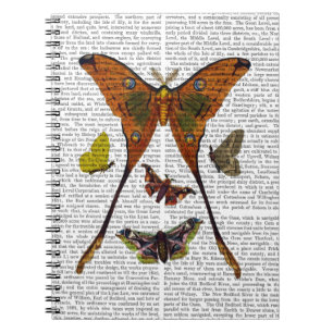 Caderno Espiral Placa 2