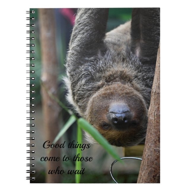 Caderno Espiral Placa Zoológica de Edimburgo Sloth Sang Out (Frente)
