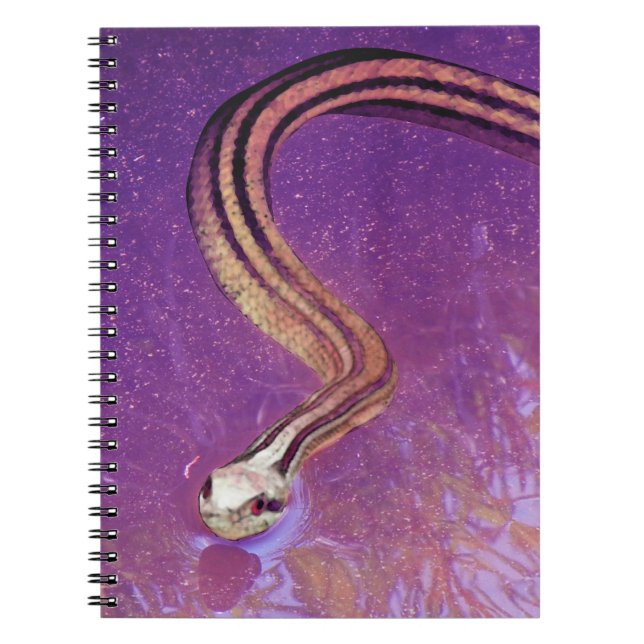 Caderno Espiral Planeta do cobra (Frente)