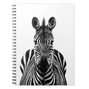 Caderno Espiral Plano de backup III