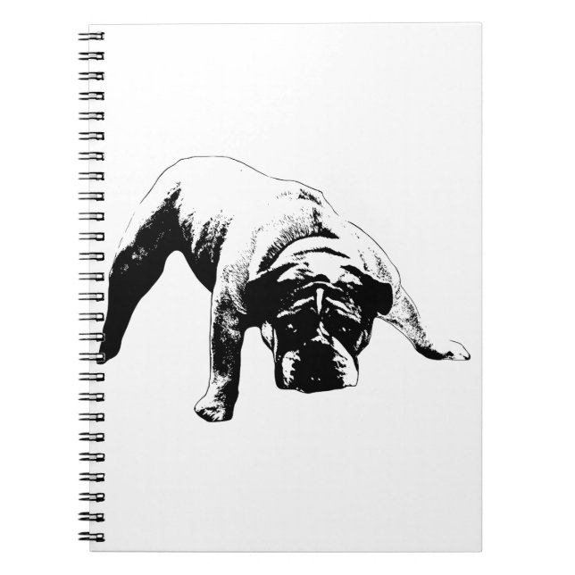 Caderno Espiral Planos com backbone (Frente)