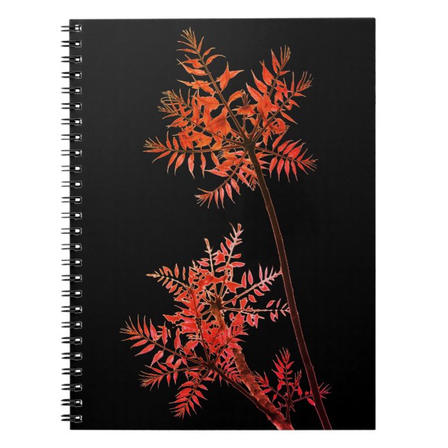 Caderno Espiral Planta (Frente)