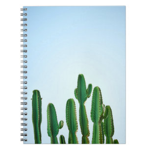 Caderno Espiral Planta de cacto verde em fundo branco