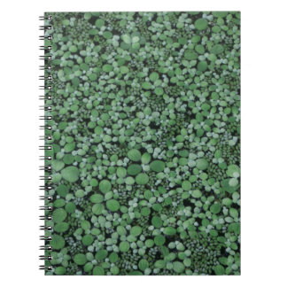 Caderno Espiral Planta de folha verde