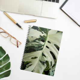 Caderno Espiral Planta De Monstera Variegada