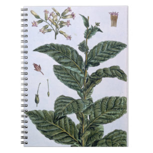 Caderno Espiral Planta de tabaco, placa 7, 'da coleção Precieuse