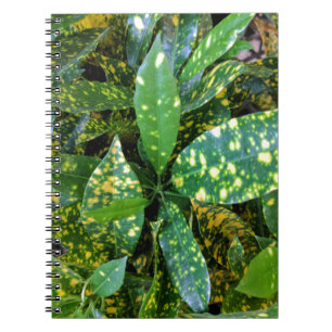Caderno Espiral Planta do Croton