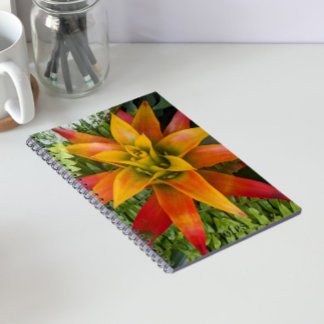 Caderno Espiral Planta Floral de Bromélia Guzmania