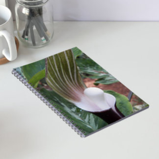Caderno Espiral Planta Floral Jack-in-the-Pulpit