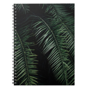 CADERNO ESPIRAL PLANTA GREEN PALM DURANTE A NOITE