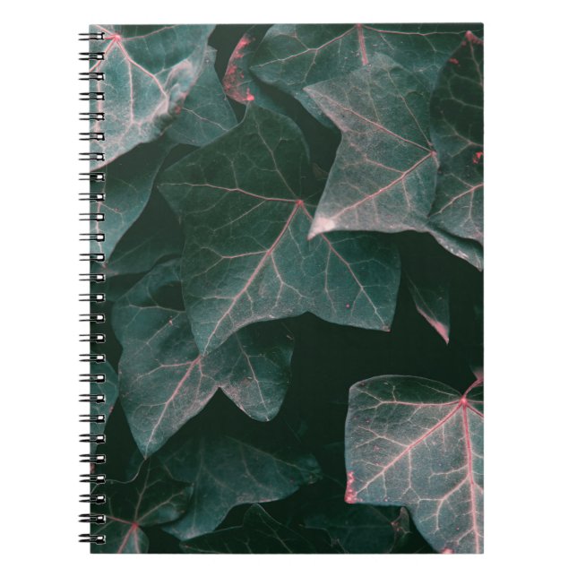 CADERNO ESPIRAL PLANTA VERDE (Frente)