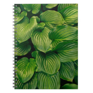 Caderno Espiral Planta verde