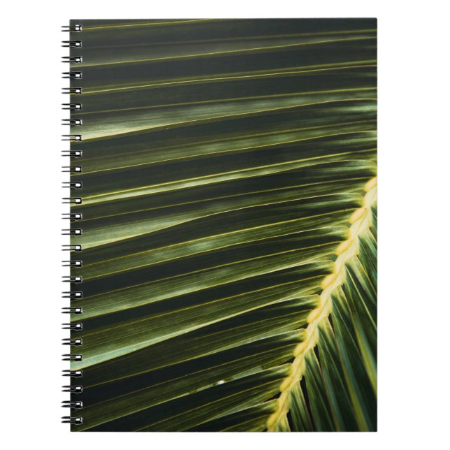 Caderno Espiral Planta verde (Frente)