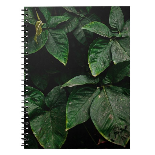 CADERNO ESPIRAL PLANTA VERDE EM FOTOGRAFIA DE FOCO (Frente)