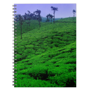 Caderno Espiral Plantação de chá