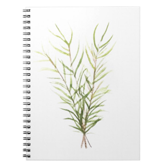 Caderno Espiral Plantas aromáticas (Frente)