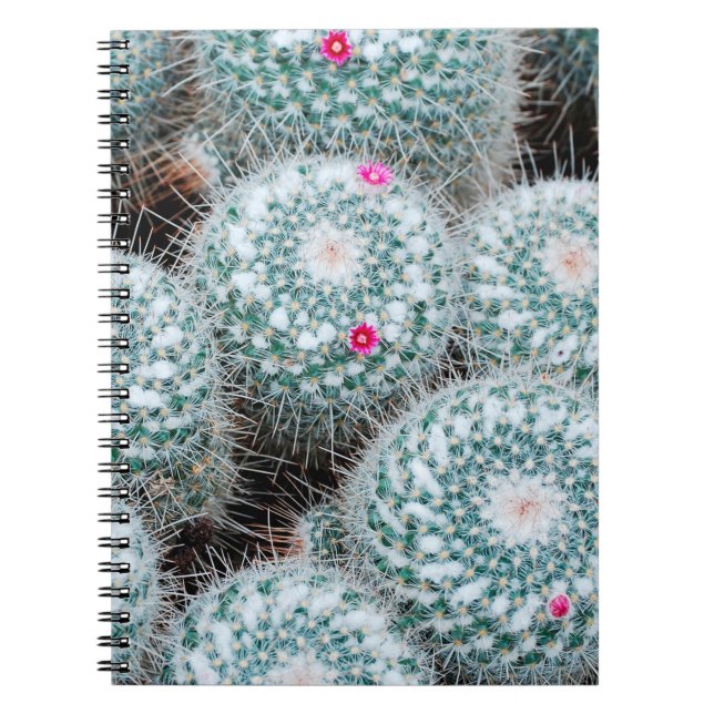 Caderno Espiral Plantas de Cactus com Flores Rosa Pequenas (Frente)