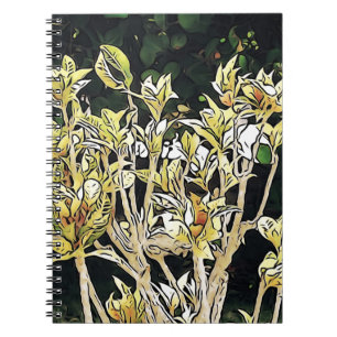 Caderno Espiral Plantas de Cuba