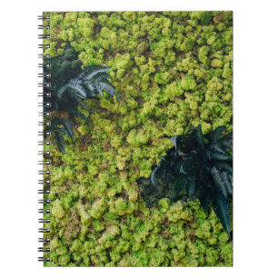 Caderno Espiral Plantas de folhas verdes