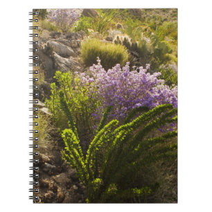 Caderno Espiral Plantas do deserto de Chihuahuan em flor