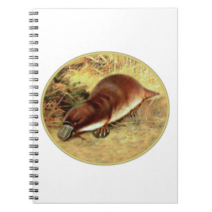 Caderno Espiral Platypus