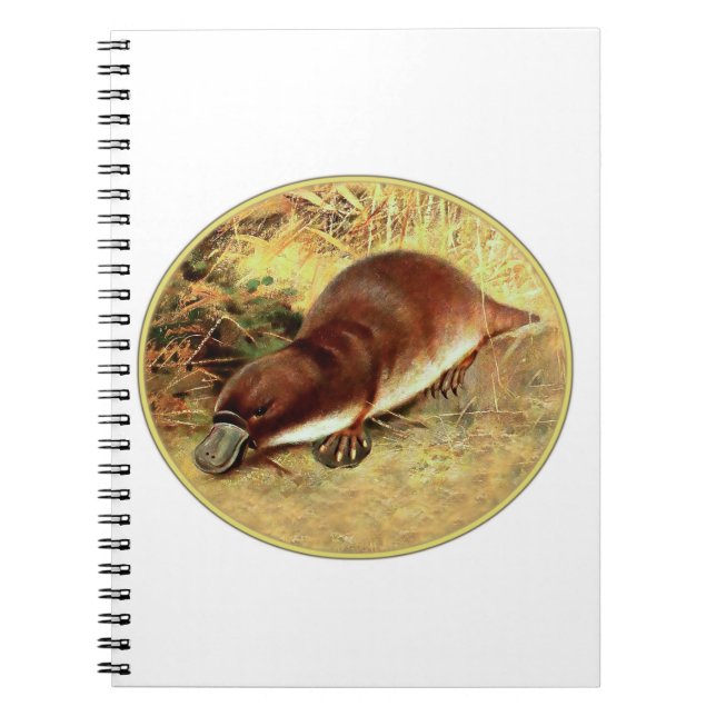 Caderno Espiral Platypus (Frente)