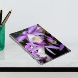 Caderno Espiral Plione Windowsill Orchids Floral