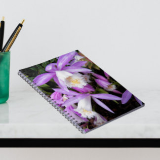 Caderno Espiral Plione Windowsill Orchids Floral