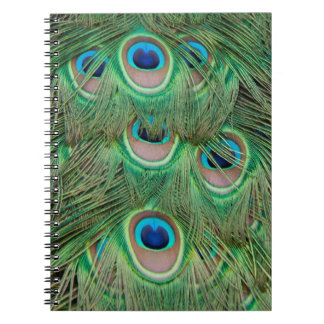 Caderno Espiral Plumagem de peacock