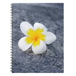 Caderno Espiral Plumeria