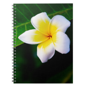 Caderno Espiral Plumeria