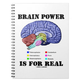 Caderno Espiral Poder Cerebral É Real Anatomia Cerebral Atitude