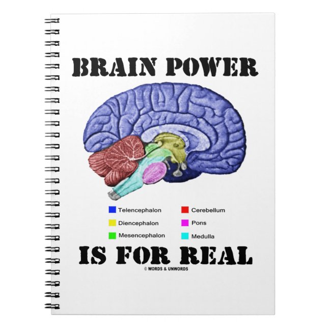 Caderno Espiral Poder Cerebral É Real Anatomia Cerebral Atitude (Frente)