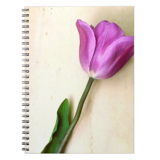 Caderno Espiral Poético das tulipas magenta brilhantes