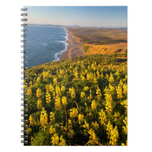 Caderno Espiral Point Reyes National Seashore California