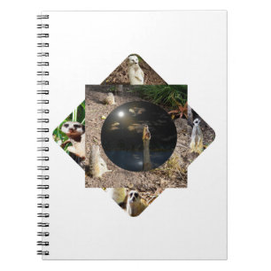 Caderno Espiral Poliescopio de suricata,