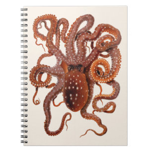 Caderno Espiral Polvo Macropus, Animais Aquáticos Marinhos Vintage