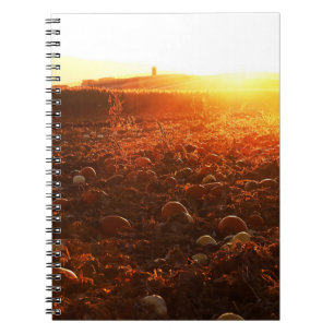 Caderno Espiral Pomar de Abóbora Pôr do Sol Amarelo