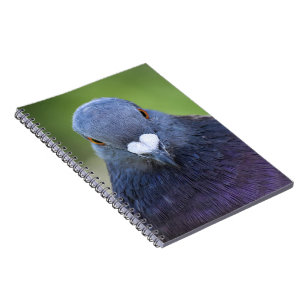 Caderno Espiral Pombo