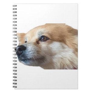 Caderno Espiral Pomerânia Cachorro Pommy Pommie Pet