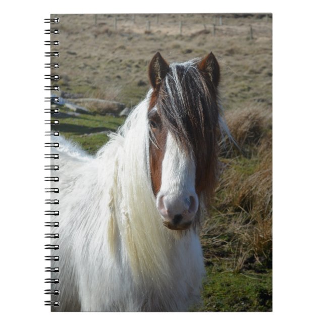 Caderno Espiral Pônei doce de Connemera (Frente)