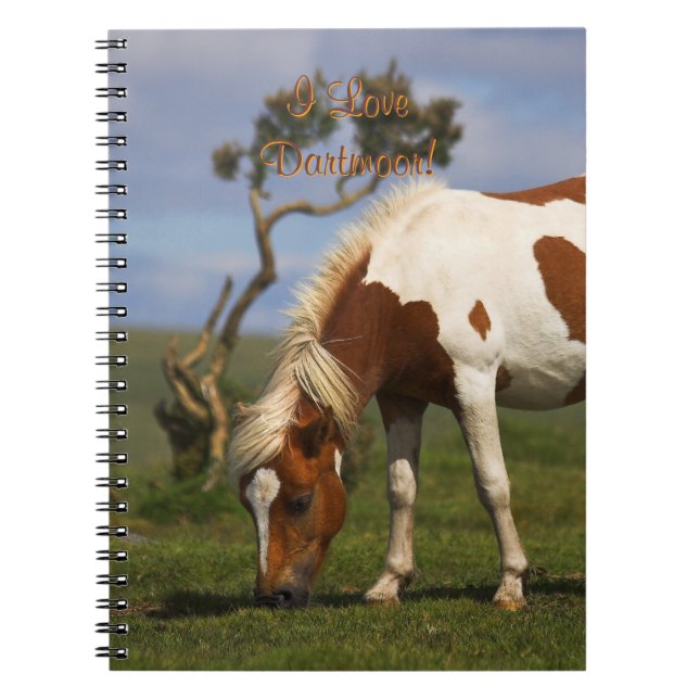 Caderno Espiral Pônei selvagem Loveable em Dartmoor (Frente)